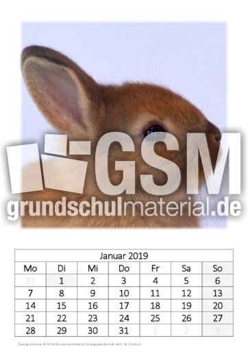 Januar_Zwergkaninchen.pdf